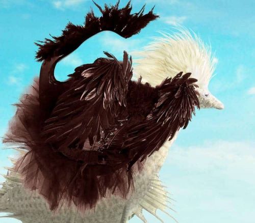 آموزش طراحی موجود خیالی در فتوشاپ